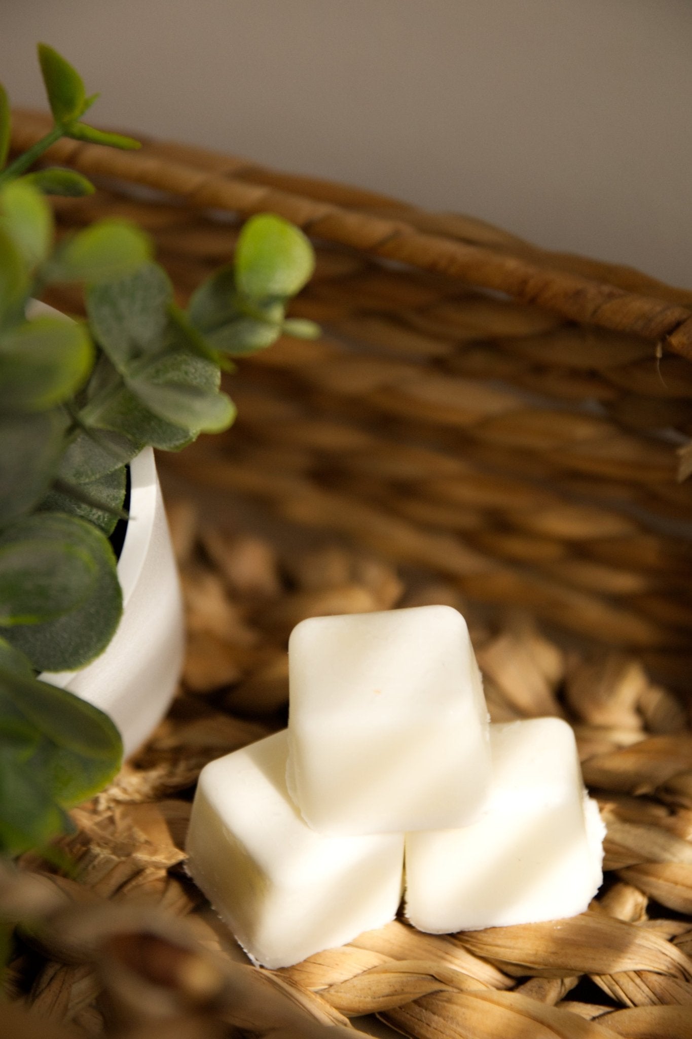 Vanilla Bean - Smyth Candle CoSmyth Candle Cowax meltSmyth Candle Co